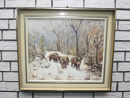 Jagd bild wildschweine keiler - wildschweine,